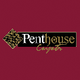 Penthouse Carpets